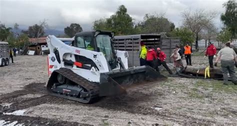 Crews rescue farm animals stuck in thick mud in San Bernardino County